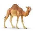 //schaufenster.vedes.de/media/getproductmainimage/default/43264524/43264524_1_2_H