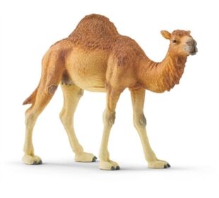 //schaufenster.vedes.de/media/getproductmainimage/default/43264524/43264524_1_2_H