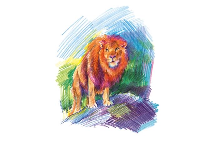 //schaufenster.vedes.de/media/getproductdetailsimage/default/65136651/65136651_7_2_4007817130087