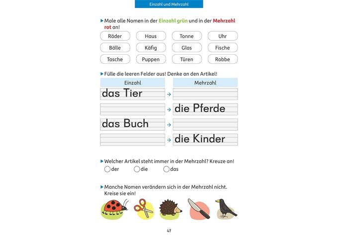 //www.itex-web.de/files/Mediafile/23/710/9783881006620.IN04