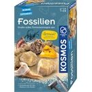 Kosmos Experimentierset Fossilien