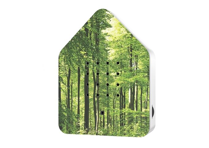 Zwitscherbox Zwitscherbox UV Print, Wald