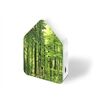 Zwitscherbox Zwitscherbox UV Print, Wald