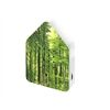 Zwitscherbox Zwitscherbox UV Print, Wald