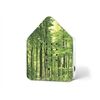 Zwitscherbox Zwitscherbox UV Print, Wald