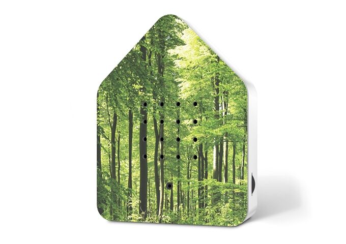 Zwitscherbox Zwitscherbox UV Print, Wald