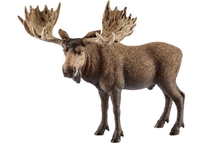 Schleich Elch Bulle