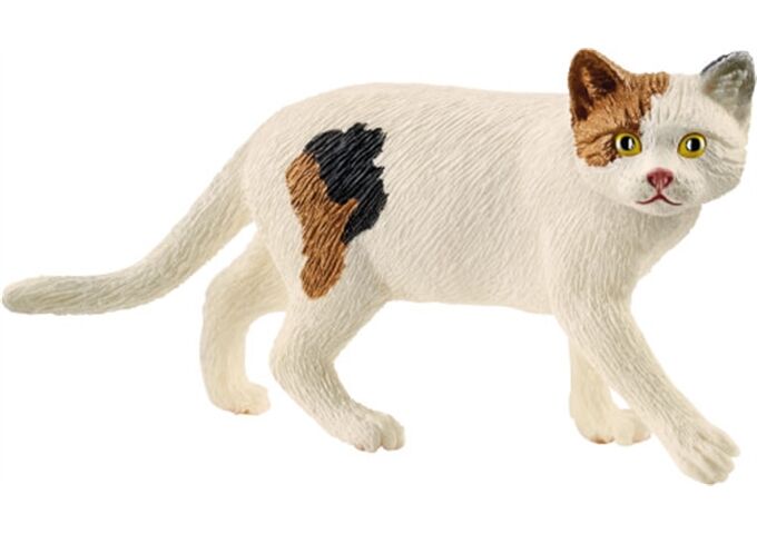 Schleich Spielzeugfigur Amerik. Kurzhaarkatze