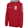 HSG Nordhorn Lingen HSG Cotton Hoodie rot Herren