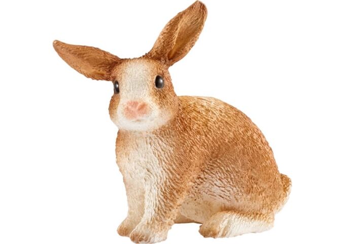 //schaufenster.vedes.de/media/getproductmainimage/default/43252151/43252151_1_2_4055744012488_H