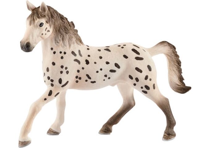 //schaufenster.vedes.de/media/getproductmainimage/default/43262424/43262424_1_2_4055744029455_H