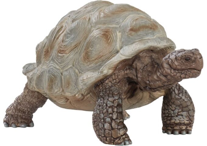 //schaufenster.vedes.de/media/getproductmainimage/default/43264508/43264508_1_2_4055744033667_H