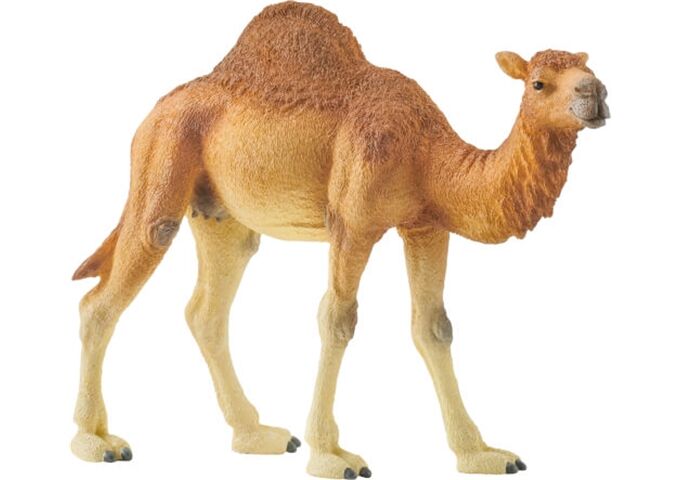 //schaufenster.vedes.de/media/getproductmainimage/default/43264524/43264524_1_2_4059433039671_H