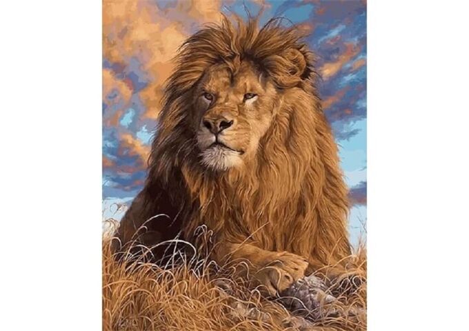 //schaufenster.vedes.de/media/getproductmainimage/default/63480347/63480347_1_2_4016490906919_H