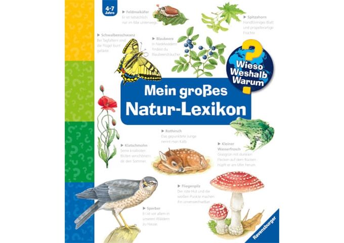 //vedes-15178.kxcdn.com/media/getproductmainimage/default/67686675/67686675_1_2_9783473329892_H