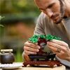 LEGO® LEGO® Icons 10281 Bonsai Baum