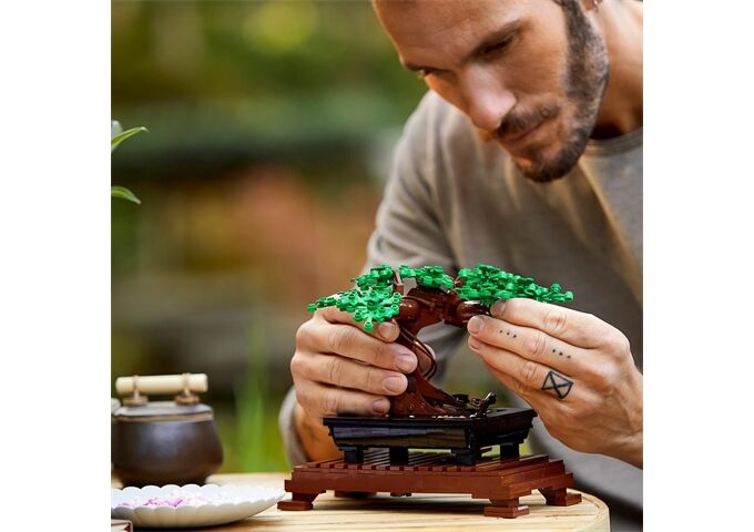 LEGO® LEGO® Icons 10281 Bonsai Baum