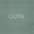 Räder PET Serviette 33x33cm GUTN, grün