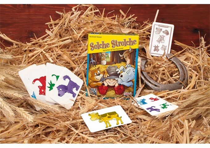 Amigo Kartenspiel Solche Strolche