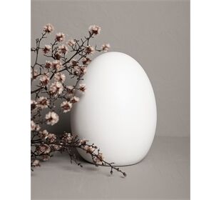 Storefactory BJUV large white egg