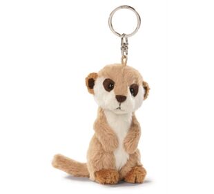 //schaufenster.vedes.de/media/getproductmainimage/default/86537656/86537656_1_4012390317435_H