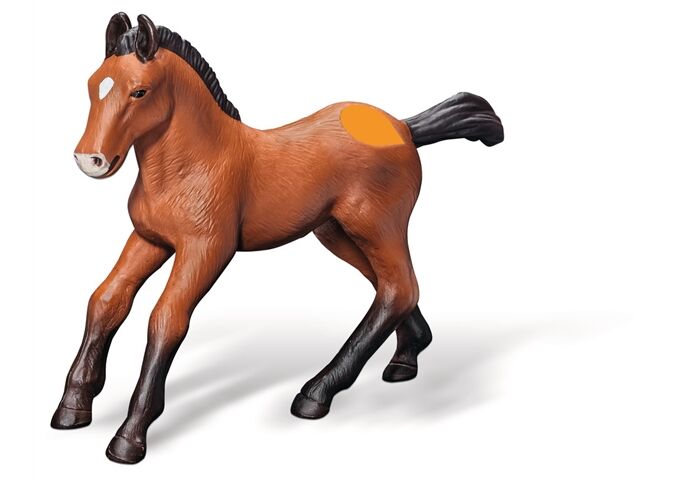 Ravensburger Tiptoi Andalusier Fohlen