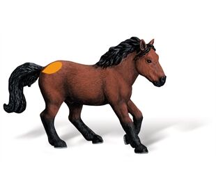 Ravensburger Tiptoi Dartmoor Pony