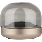 kooduu Glow 08 Sepia Version 2024