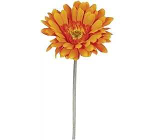 EK Gerbera 56cm orange