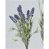 Boltze Lavendelzweig H33cm