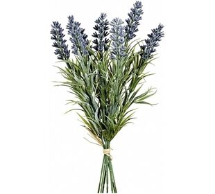 EK Lavendelbund 29cm