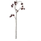 ASA deko Fruchtzweig XL, rot