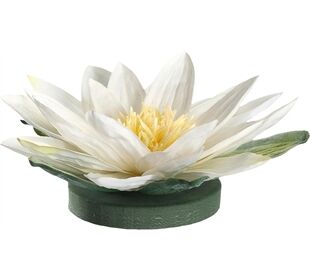 Leonardo FIORE Seerose schwimmend Fiore