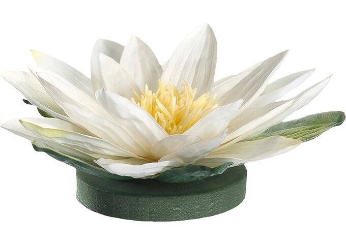 Leonardo FIORE Seerose schwimmend Fiore