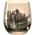 Leonardo MODO GK/Dekoset 10 marr. Sukkulente