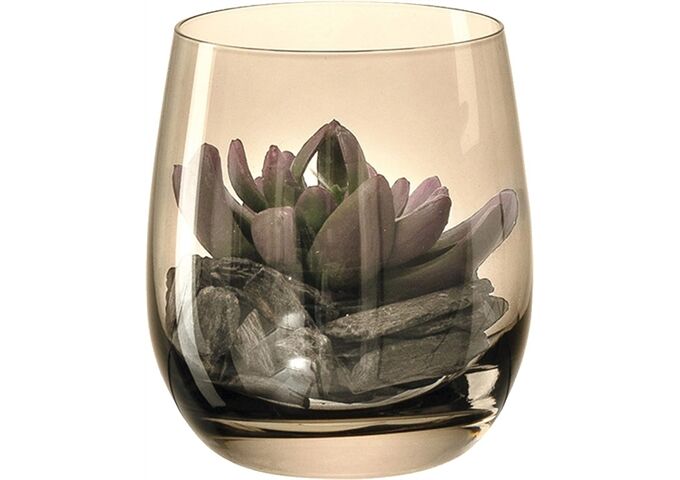 Leonardo MODO GK/Dekoset 10 marr. Sukkulente