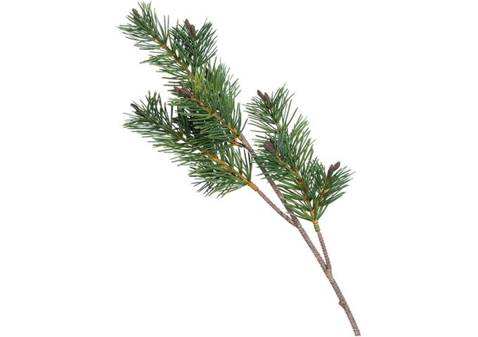 Leonardo FIORE Tannenzweig 35 Fiore