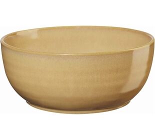 ASA diverse Poké Bowl, ginger