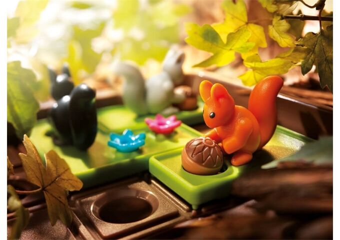 Smart Games Ran an die Nüsse!