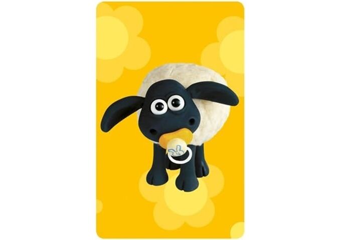 Kosmos Shaun Das Schaf Kartenspiel