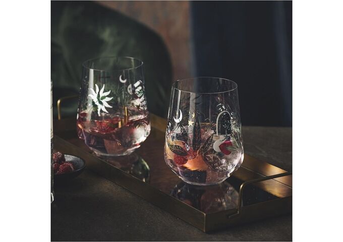Ritzenhoff Botanic Glamour Gin Tumbler 2er 7 8GWAW H23