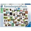 Ravensburger Pz. Funny Animals Collage 1500T
