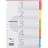 PAGNA Register Karton A4 farbige Taben 5teilig