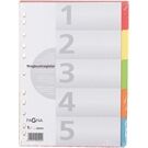 PAGNA Register Karton A4 farbige Taben 5teilig