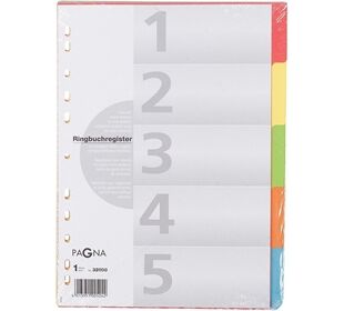 PAGNA Register Karton A4 farbige Taben 5teilig