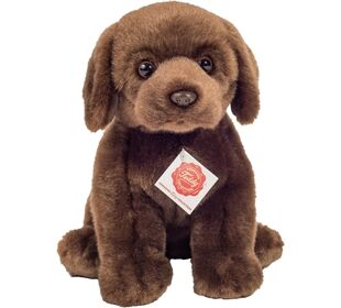 Teddy-Hermann Labrador sitzend dunkelbraun, ca. 2