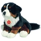 Teddy-Hermann Berner Sennenhund sitzend, ca. 29 c