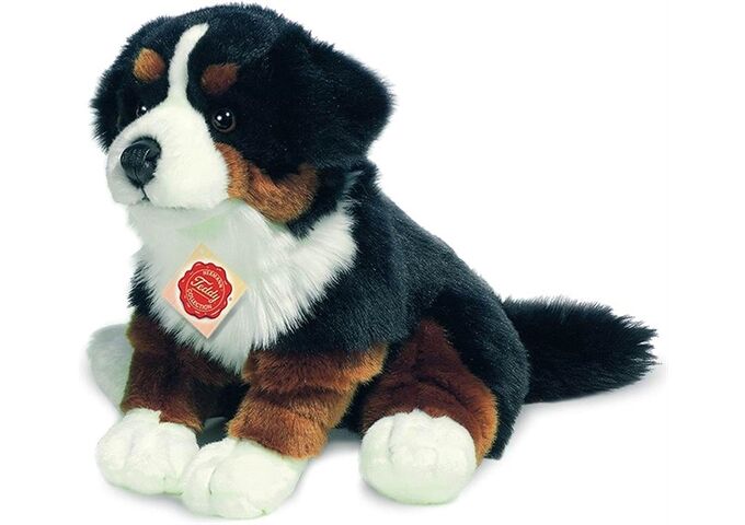 Teddy-Hermann Berner Sennenhund sitzend, ca. 29 c