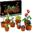 LEGO® Icons Botanicals Mini Pflanzen