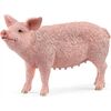 Schleich Schwein